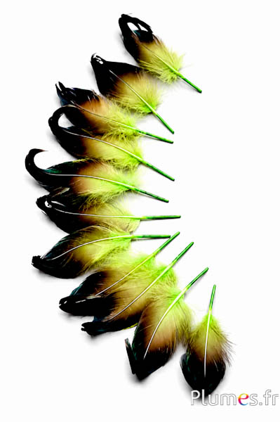 Anatra - 6-9 cm - lime-nero